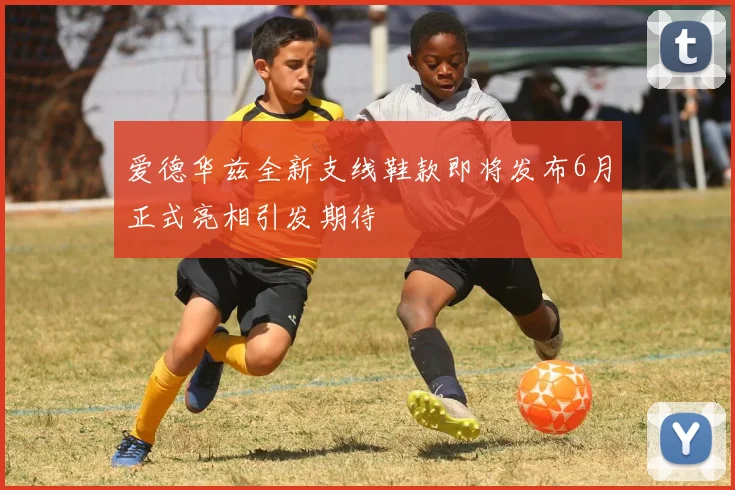爱德华兹全新支线鞋款即将发布6月正式亮相引发期待