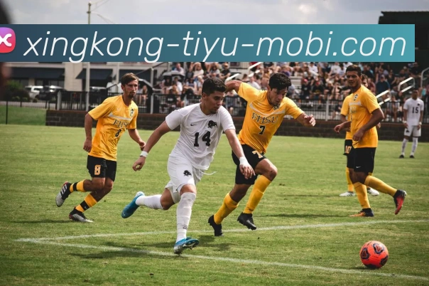 数据防护可视化